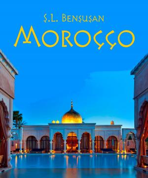 Cover of the book Morocco by JR MacGregor
