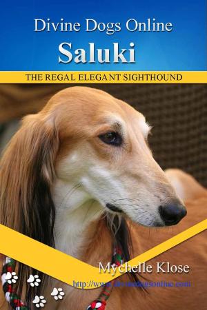 bigCover of the book Saluki by 