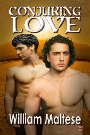 Cover of the book Conjuring Love by Shawn Bailey