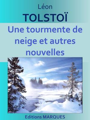 Cover of the book Une tourmente de neige et autres nouvelles by Cicéron