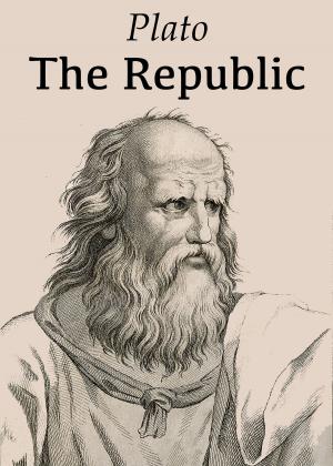 Cover of the book The Republic by Clarence Squareman, Clarence Squareman