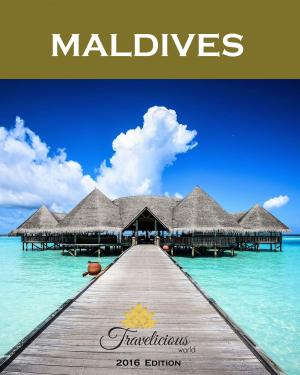 bigCover of the book Maldives Travel Guide - 2016 Edition by 