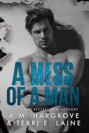 Book cover of A Mess of a Man