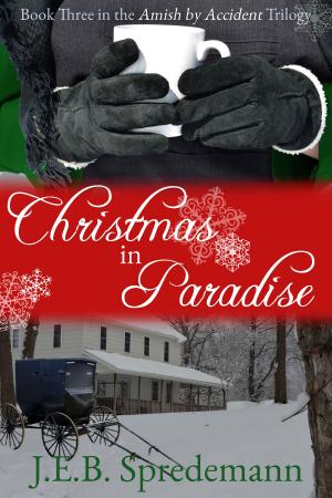 Book cover of Christmas in Paradise