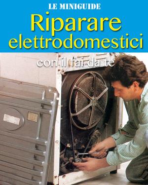Book cover of Riparare elettrodomestici