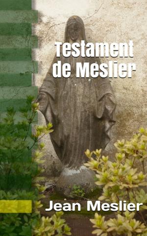 Book cover of Testament de Meslier