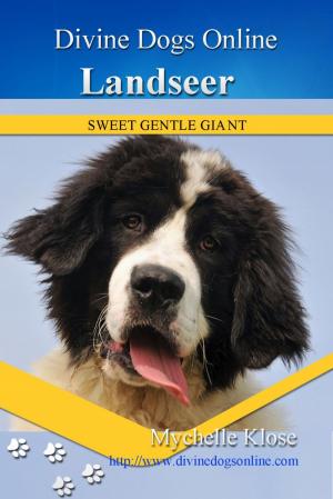 Cover of the book Landseer by Gabe Sluis