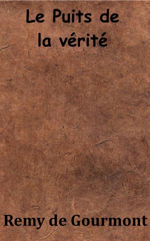 Cover of the book Le Puits de la vérité by Charles Magnin