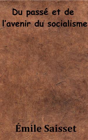 Cover of the book Du passé et de l’avenir du socialisme by Chamblain de Marivaux