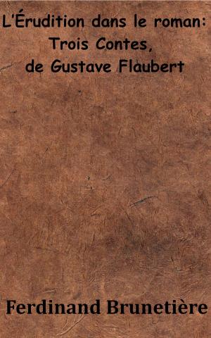 Cover of the book L’Érudition dans le roman - Trois Contes, de Gustave Flaubert by Oliver Goldsmith, Charles Nodier