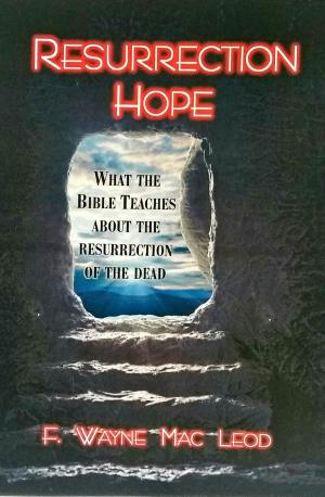Cover of the book Resurrection Hope by J.C. King