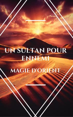 Book cover of Un sultan pour ennemi