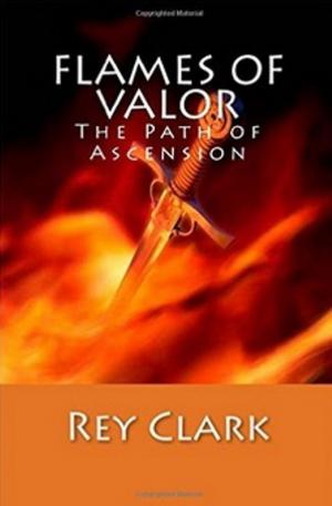 Cover of the book Flames of Valor by CLEBERSON EDUARDO DA COSTA