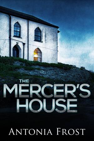 bigCover of the book The Mercer's House by 