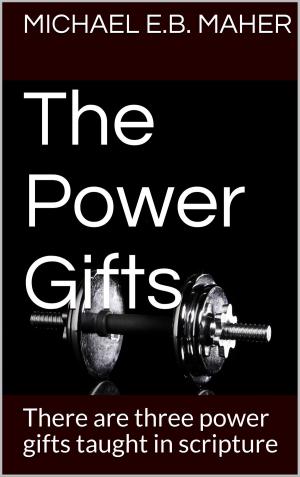 Cover of the book The Power Gifts by Michael E.B. Maher