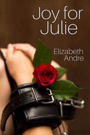 bigCover of the book Joy for Julie by 