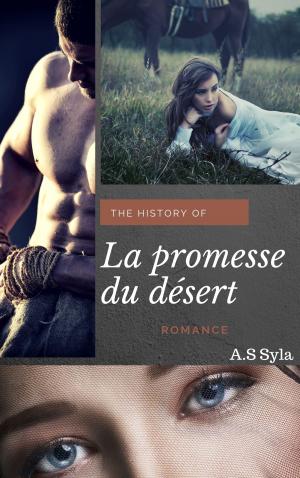 Cover of the book La promesse du désert by Amanda Dreems