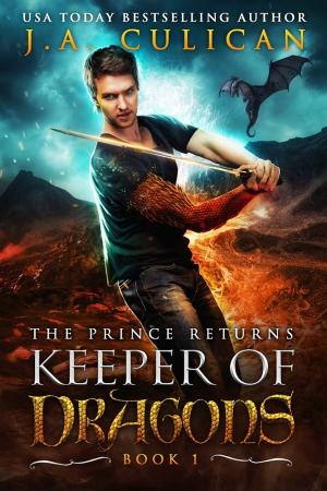 Cover of the book The Prince Returns by JMD Reid
