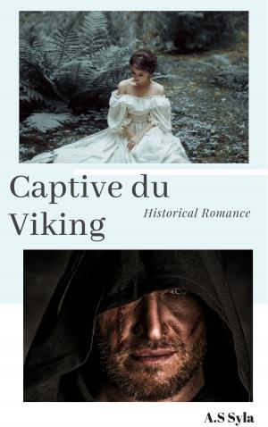 Book cover of Captive du viking
