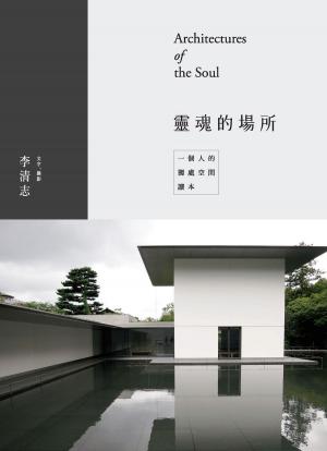 bigCover of the book 靈魂的場所 by 