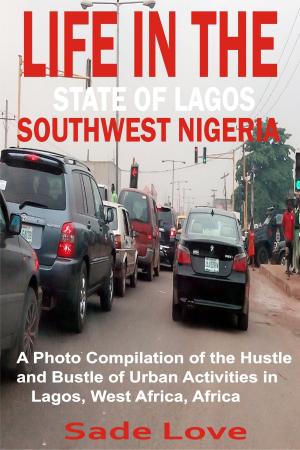 Cover of the book Life in the State of Lagos, Southwest Nigeria by Anthony Trollope