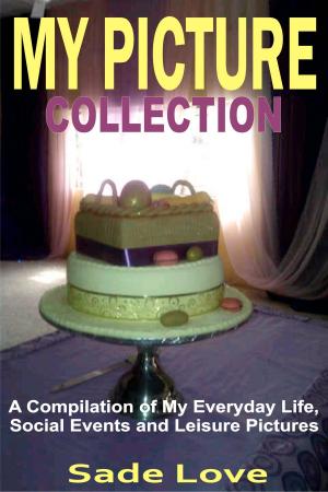 Cover of the book My Picture Collection by Kendall Harrison