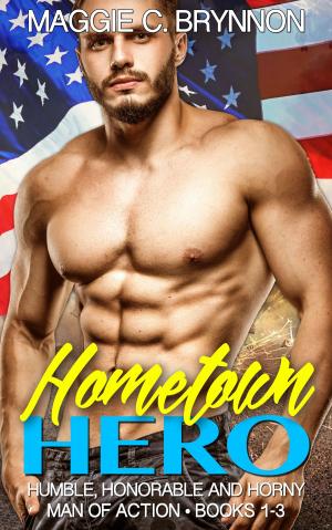 Cover of the book Hometown Hero by Maggie C. Brynnon