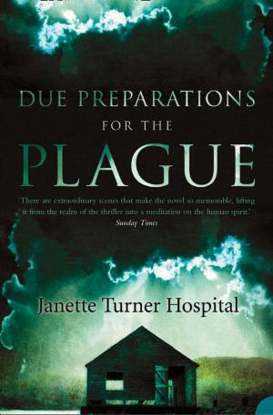 Cover of the book Due Preparations for the Plague by Olivia Siegl
