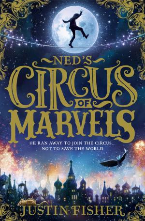 Cover of the book Ned’s Circus of Marvels (Ned’s Circus of Marvels, Book 1) by Eleanor Wood