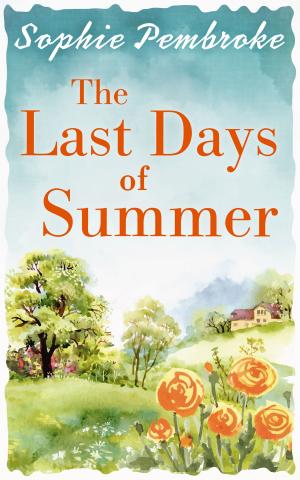 Cover of the book The Last Days of Summer by Joseph Polansky