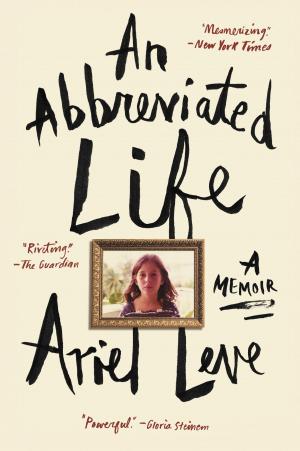 Cover of the book An Abbreviated Life by Daniel Mendelsohn