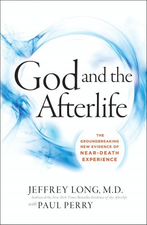 Cover of the book God and the Afterlife by Dave L. Goetz
