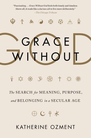 bigCover of the book Grace Without God by 