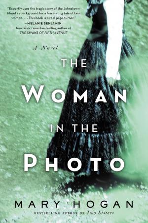 Cover of the book The Woman in the Photo by Michael P. Spradlin