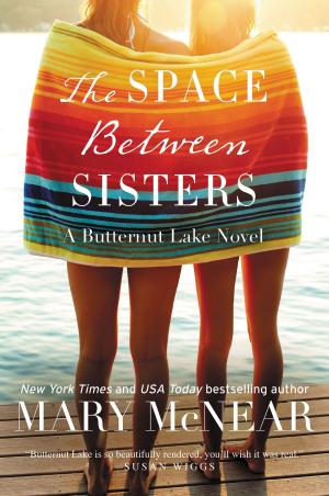 Cover of the book The Space Between Sisters by Neil Gaiman