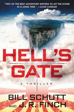 Cover of the book Hell's Gate by Sophie Hannah