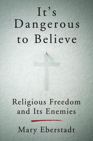 Cover of It's Dangerous to Believe