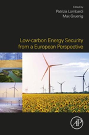 Cover of the book Low-carbon Energy Security from a European Perspective by N Madhavan Nayar