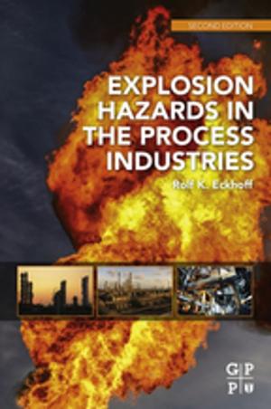 bigCover of the book Explosion Hazards in the Process Industries by 