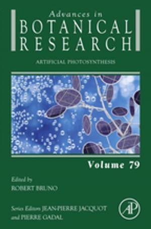 Cover of the book Artificial Photosynthesis by Rafael Yanushevsky, Camilla Yanushevsky
