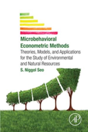 Cover of the book Microbehavioral Econometric Methods by Jinghai Li