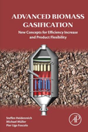 Cover of the book Advanced Biomass Gasification by Jim Gray, Andreas Reuter