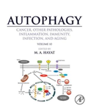 Cover of the book Autophagy: Cancer, Other Pathologies, Inflammation, Immunity, Infection, and Aging by Singiresu S. Rao, Ph.D., Case Western Reserve University, Cleveland, OH