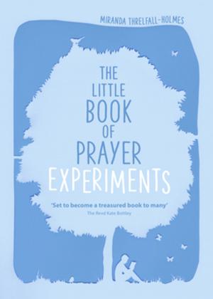 Book cover of The Little Book of Prayer Experiments