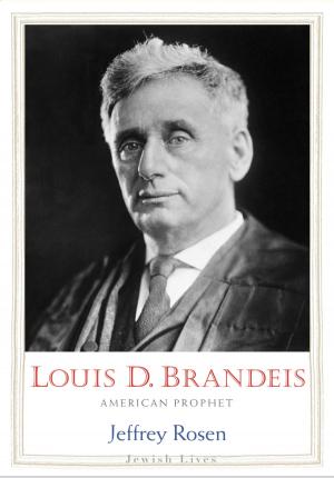 Book cover of Louis D. Brandeis