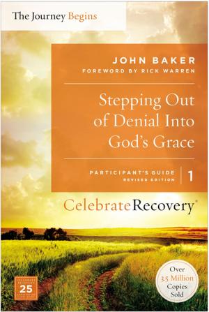 Book cover of Stepping Out of Denial into God's Grace Participant's Guide 1