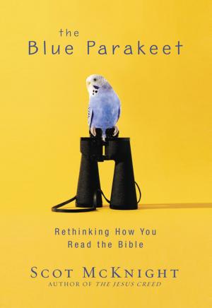 Book cover of The Blue Parakeet