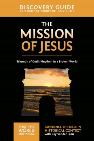 Cover of the book The Mission of Jesus Discovery Guide by Peter Scazzero
