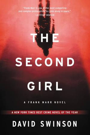 Cover of the book The Second Girl by Richard Lange