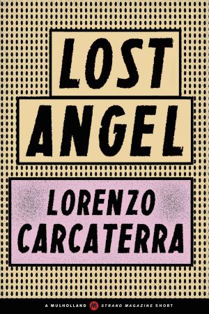 Cover of the book Lost Angel by David H. Freedman
